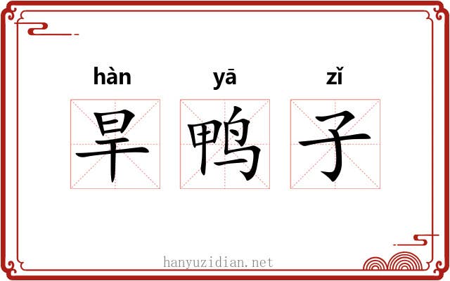 旱鸭子 旱鸭子