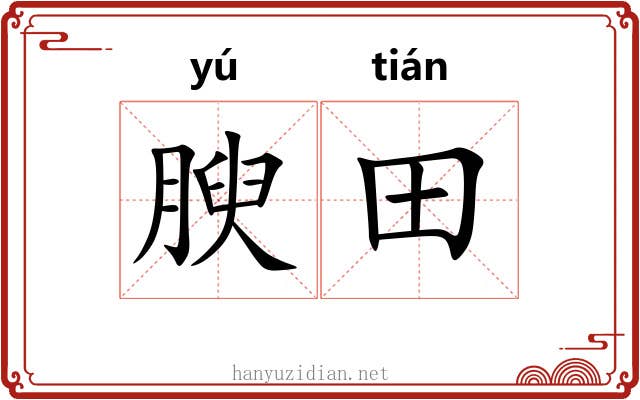 腴田