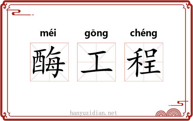 酶工程