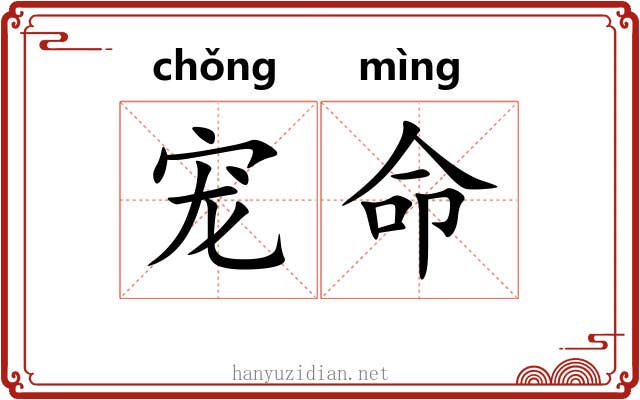 宠命 宠命