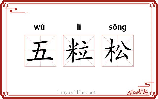 五粒松 五粒松