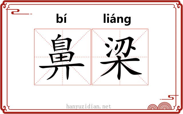 鼻梁 鼻梁