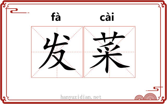 发菜 发菜