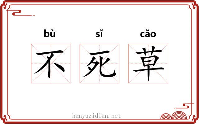 不死草 不死草