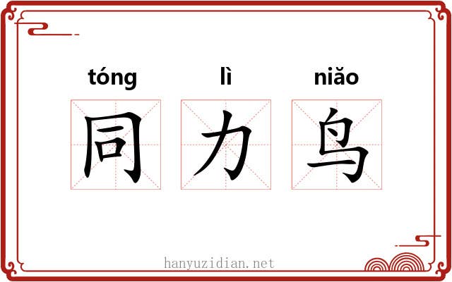 同力鸟 同力鸟