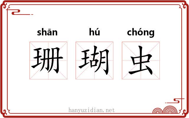 珊瑚虫