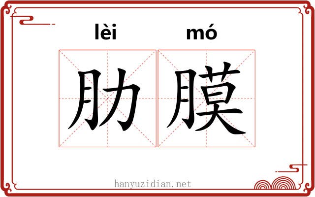 肋膜