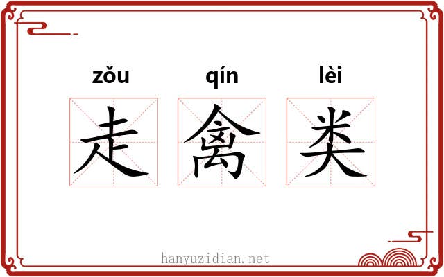 走禽类 走禽类