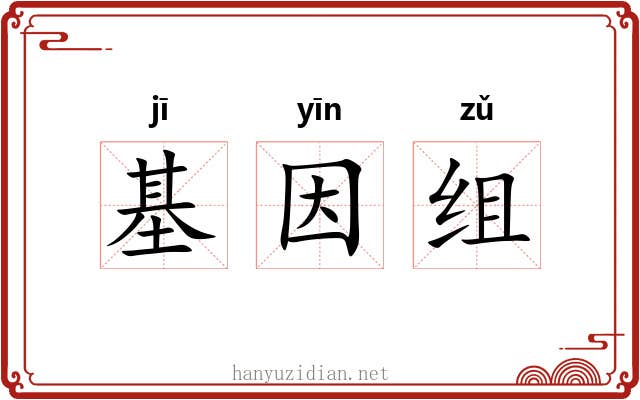 基因组 基因组