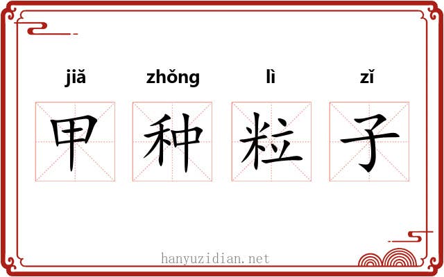 甲种粒子 甲种粒子