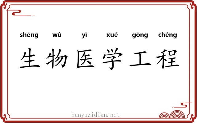 生物医学工程