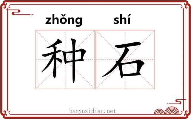 种石 种石