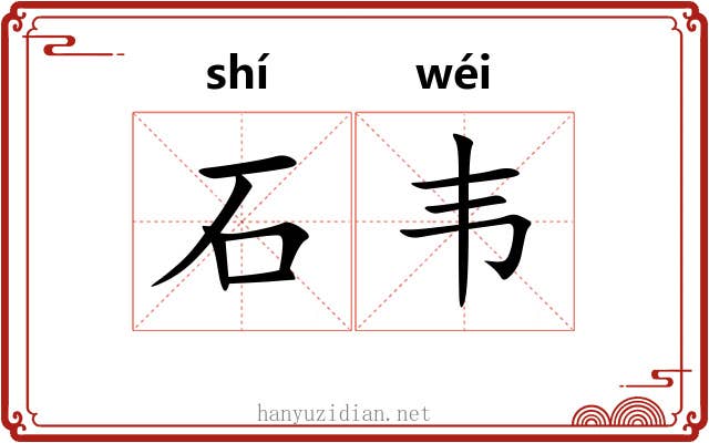 石韦 石韦
