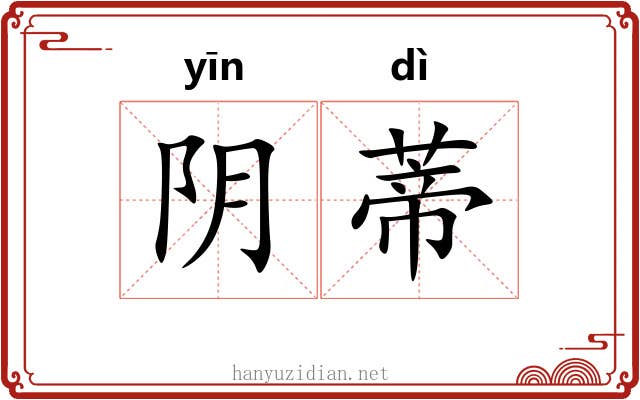 阴蒂