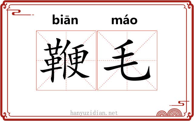 鞭毛 鞭毛