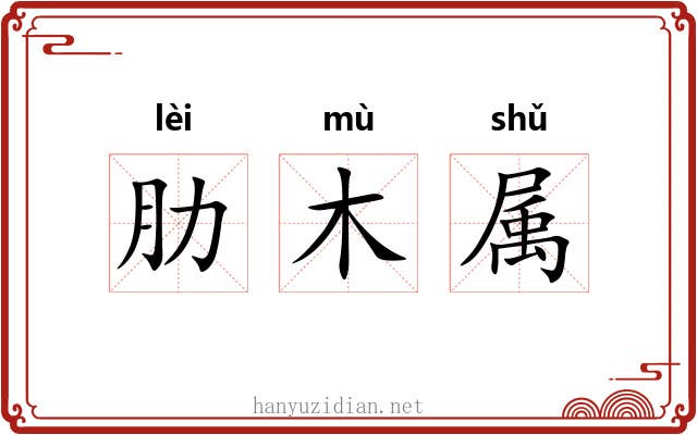 肋木属 肋木属
