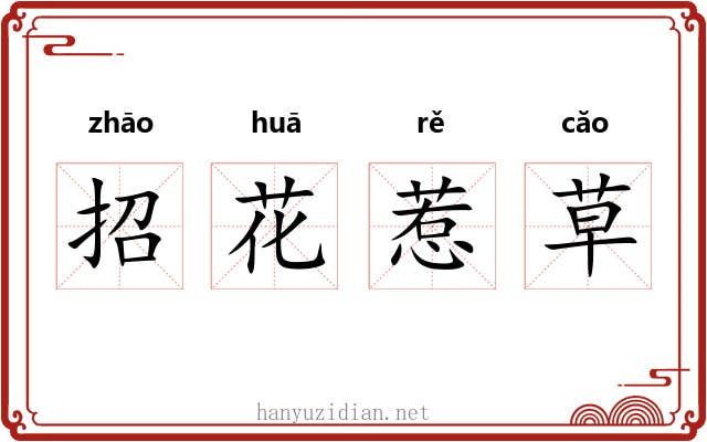 招花惹草 招花惹草
