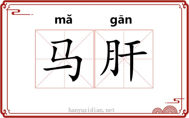 马肝 马肝