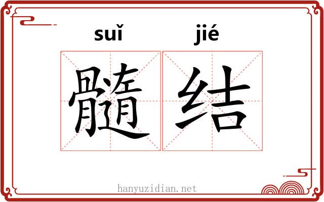 髓结