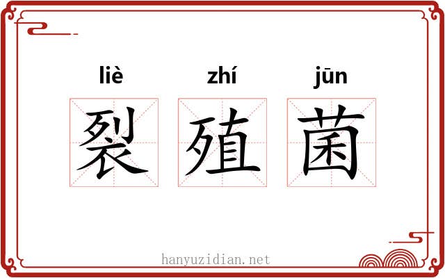 裂殖菌