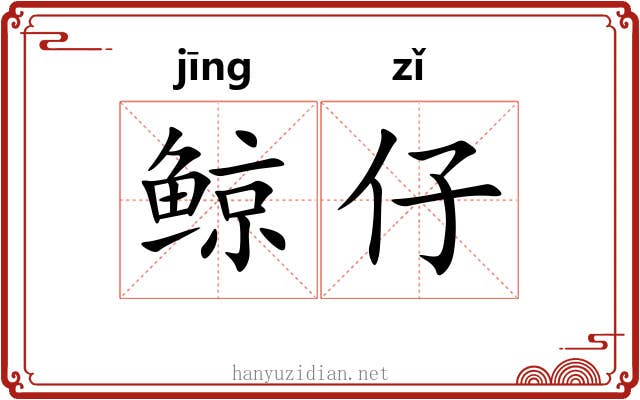 鲸仔