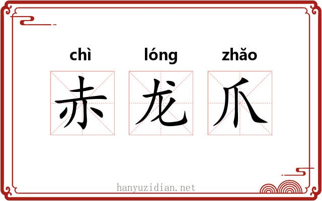 赤龙爪 赤龙爪
