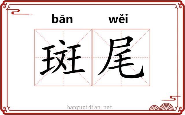 斑尾 斑尾