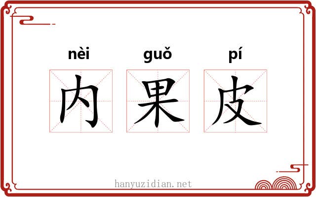 内果皮 内果皮