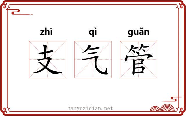 支气管