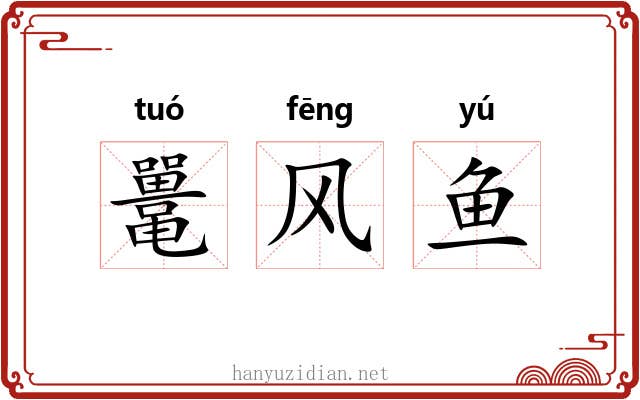 鼍风鱼