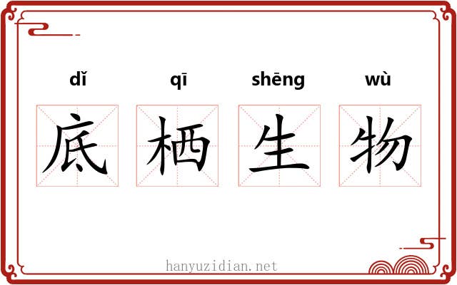 底栖生物 底栖生物