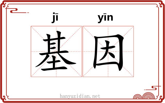 基因 基因