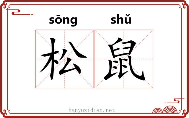松鼠 松鼠