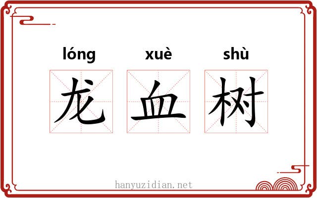 龙血树 龙血树
