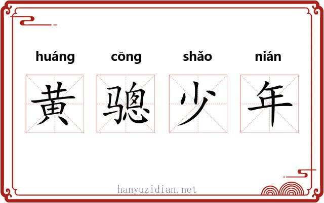 黄骢少年