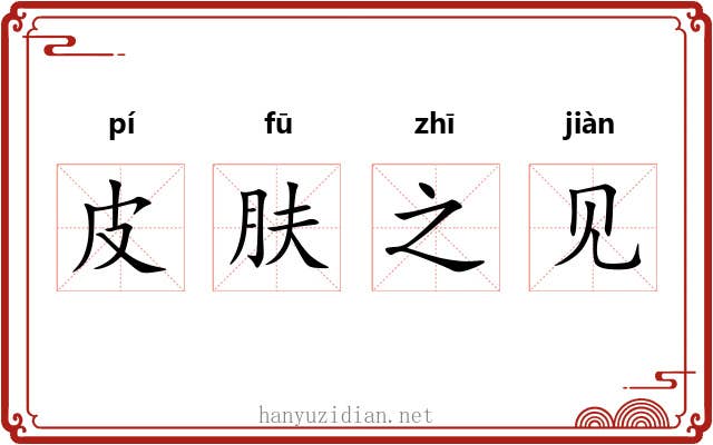 皮肤之见