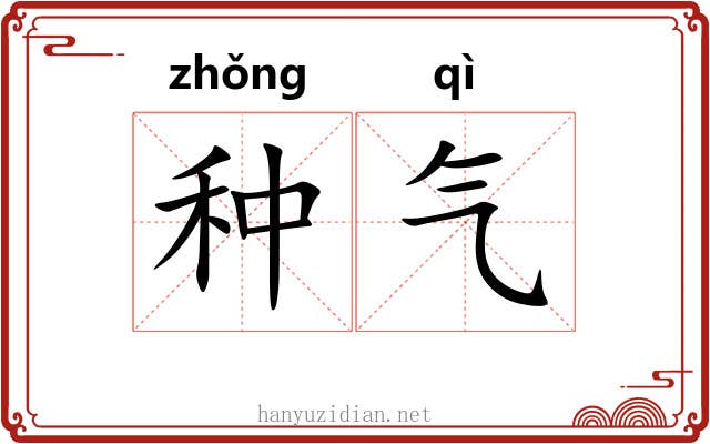 种气