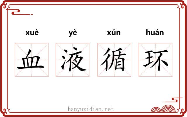 血液循环 血液循环