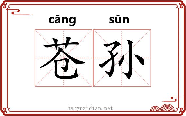 苍孙