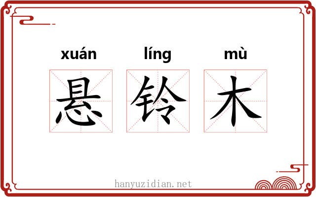 悬铃木 悬铃木