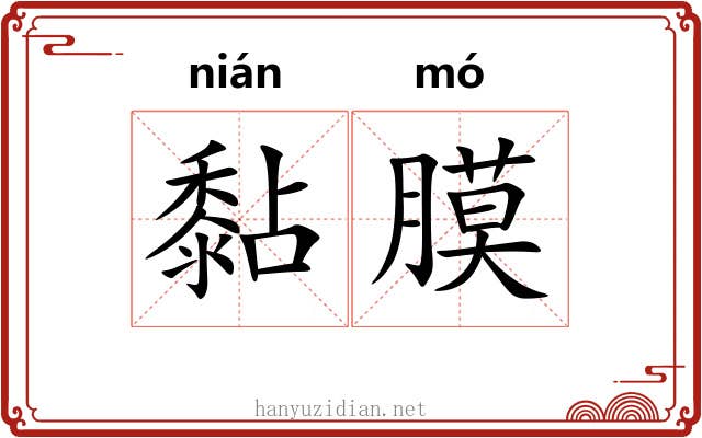 黏膜