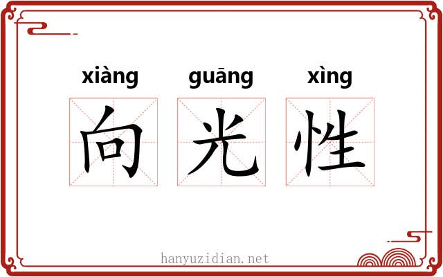 向光性 向光性