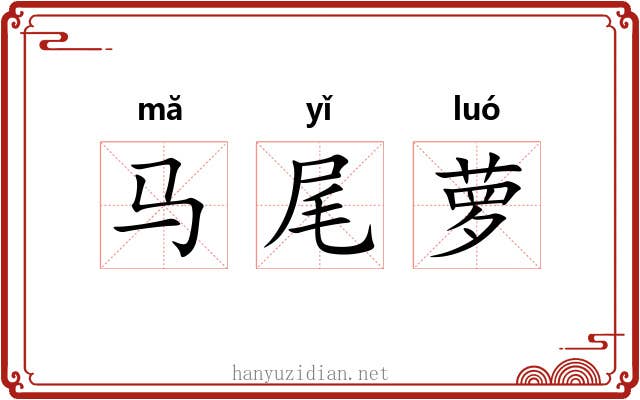马尾萝 马尾萝
