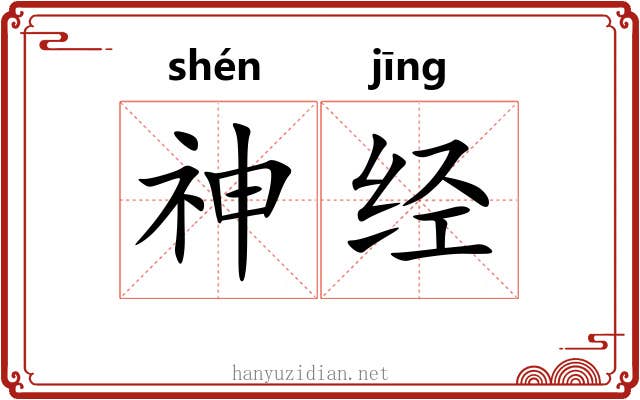 神经 神经