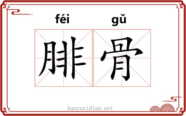 腓骨