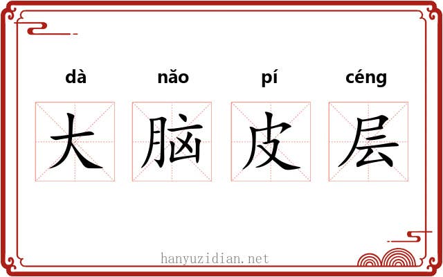 大脑皮层 大脑皮层