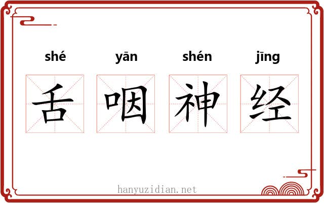 舌咽神经 舌咽神经