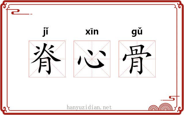 脊心骨 脊心骨