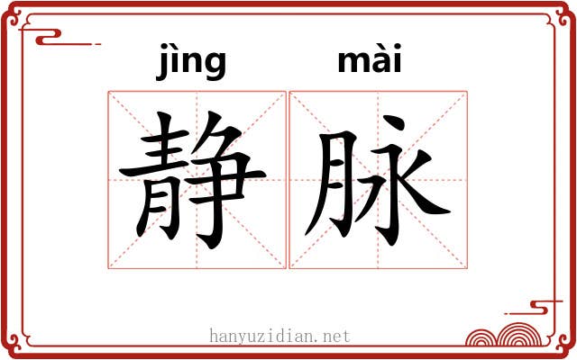 静脉 静脉