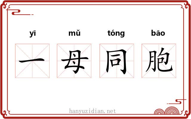 一母同胞 一母同胞